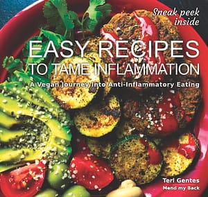 Mend My Back Program and Teri Gentes anti-Inflammatory recipes cookbook